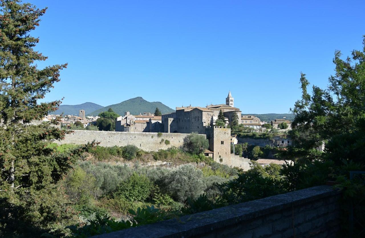 La Finestra Di Umberto Vicino Al Centro Con Parcheggio Privato Bed & Breakfast Viterbo Luaran gambar