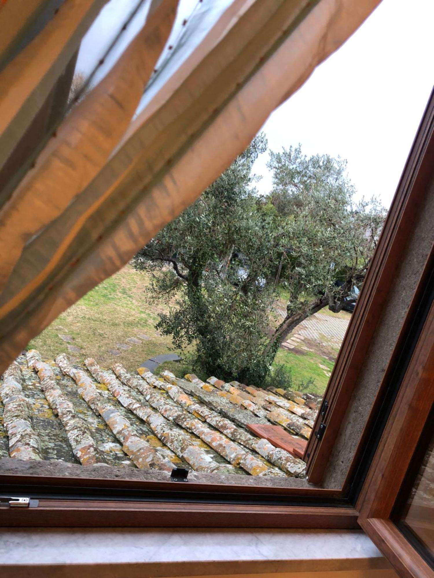La Finestra Di Umberto Vicino Al Centro Con Parcheggio Privato Bed & Breakfast Viterbo Luaran gambar